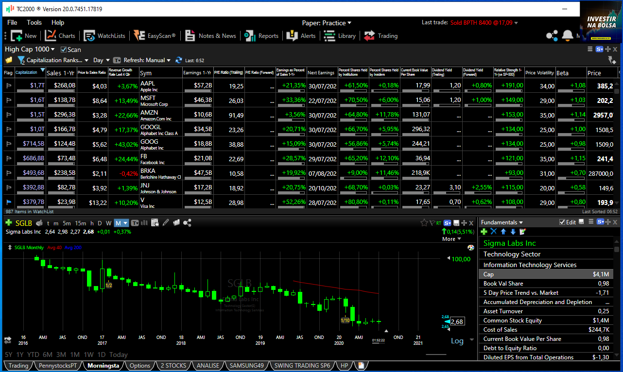 Análise fundamental de ações no TC2000 na aba Morningstar
